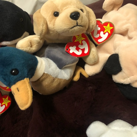 Ty Beanie babies random bundle of 10 - Picture 3 of 16